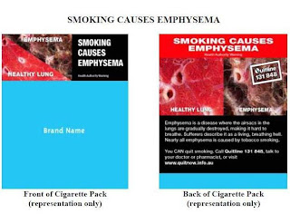 Smoking Causes Emphysema publication