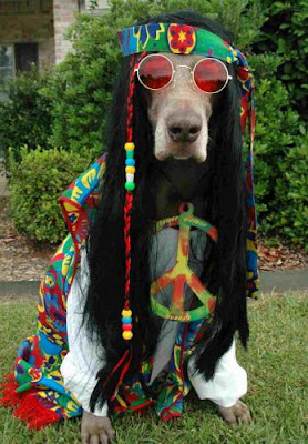 hippie+dog.jpg