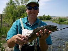 WEBER RIVER BROWN