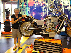 Harley Plant Two