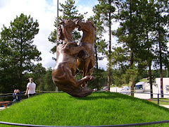 Crazy Horse Park