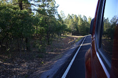 Grand Canyon National Park