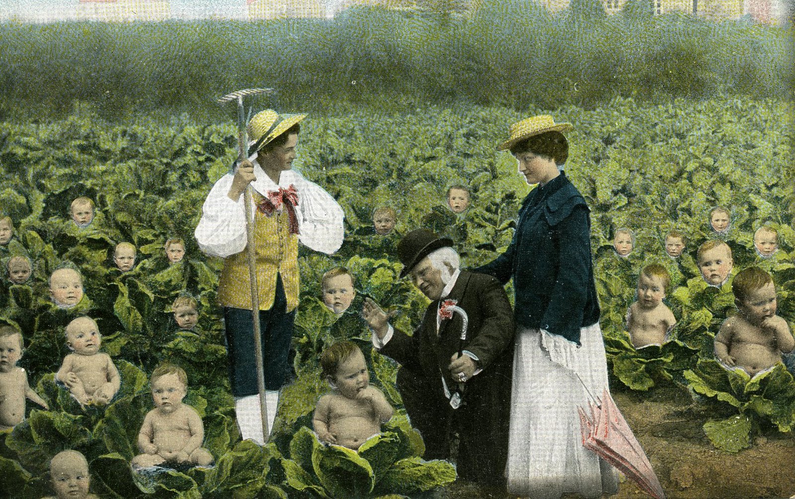 Creating Pictures in my Mind A Baby Farm?