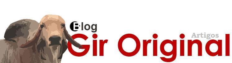 Artigos Gir Original