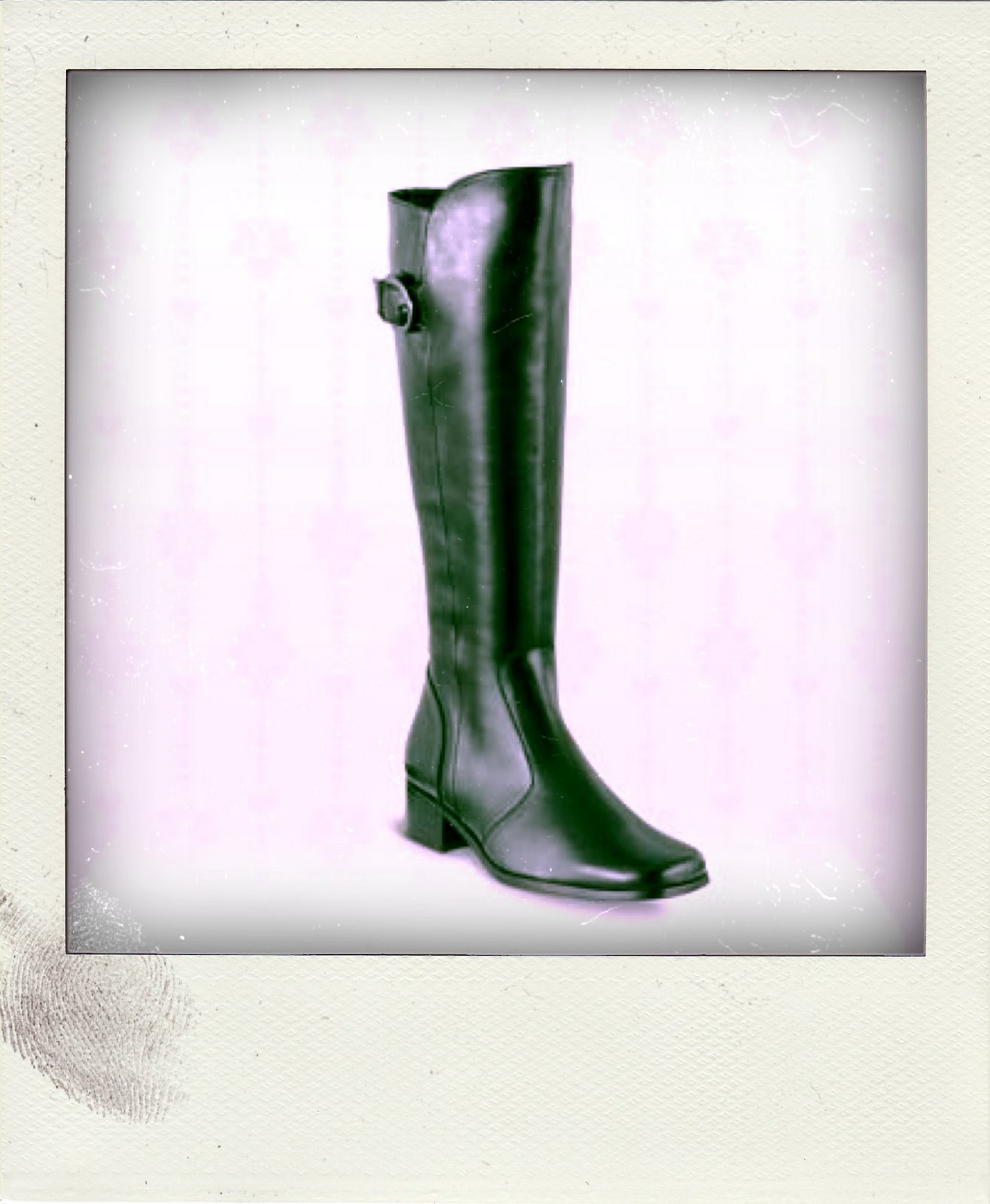 [boot2-pola.jpg]