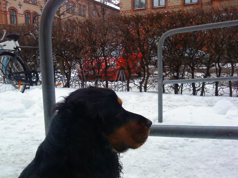 [image-upload-582-716599.jpg]