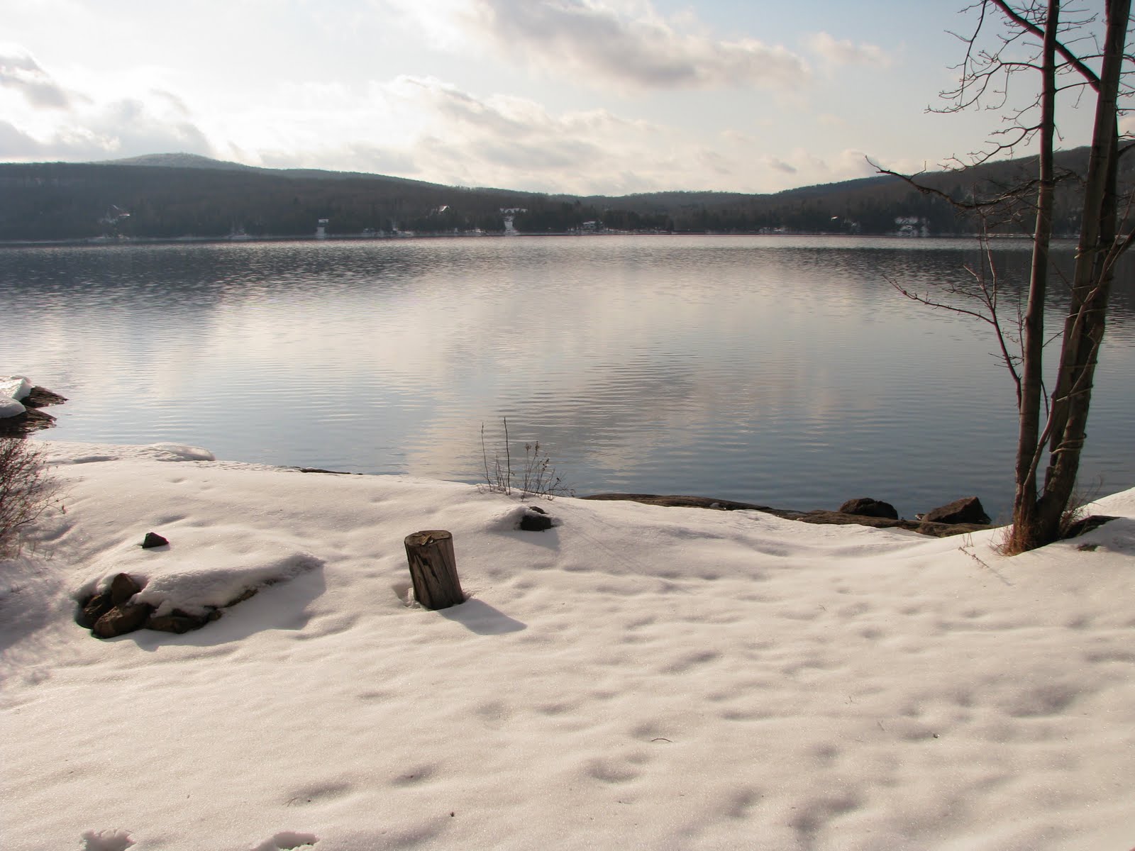 [IMG_0033.JPG]