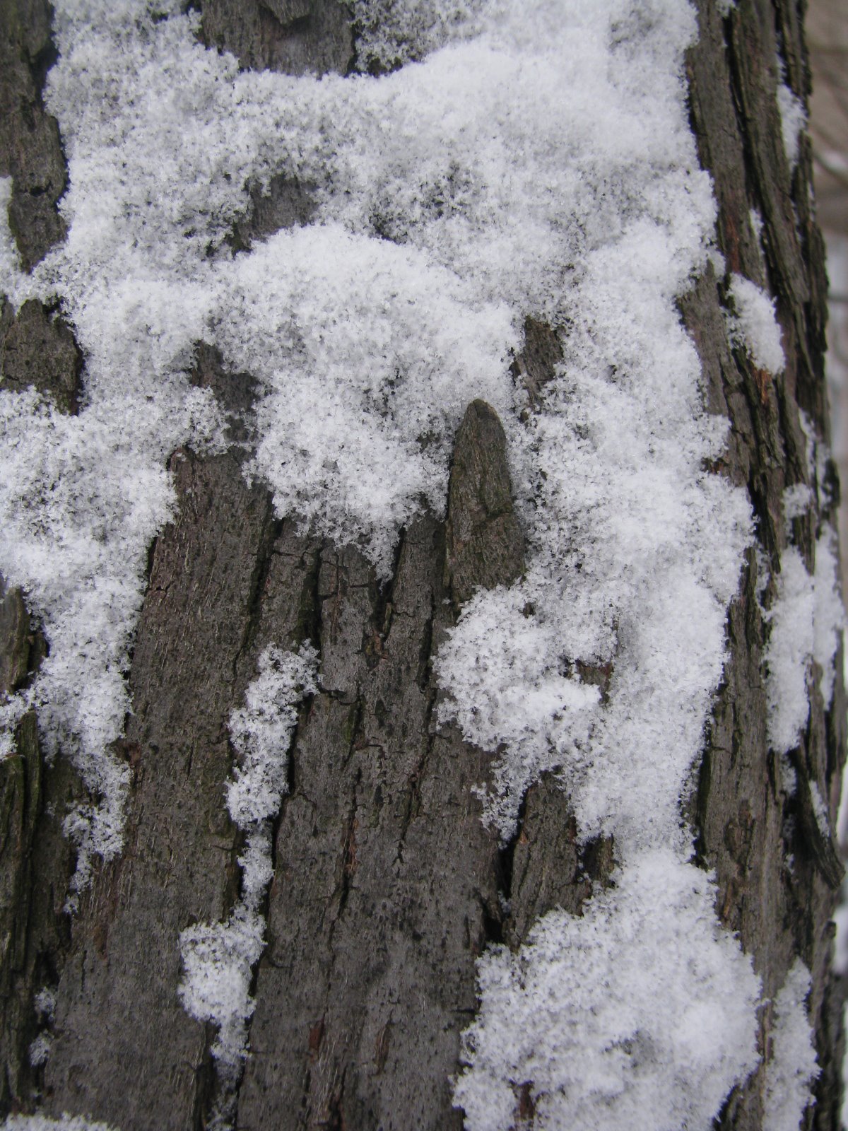[IMG_4675.JPG]
