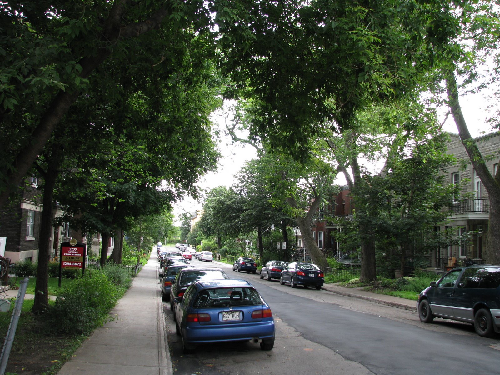 [IMG_6105.JPG]