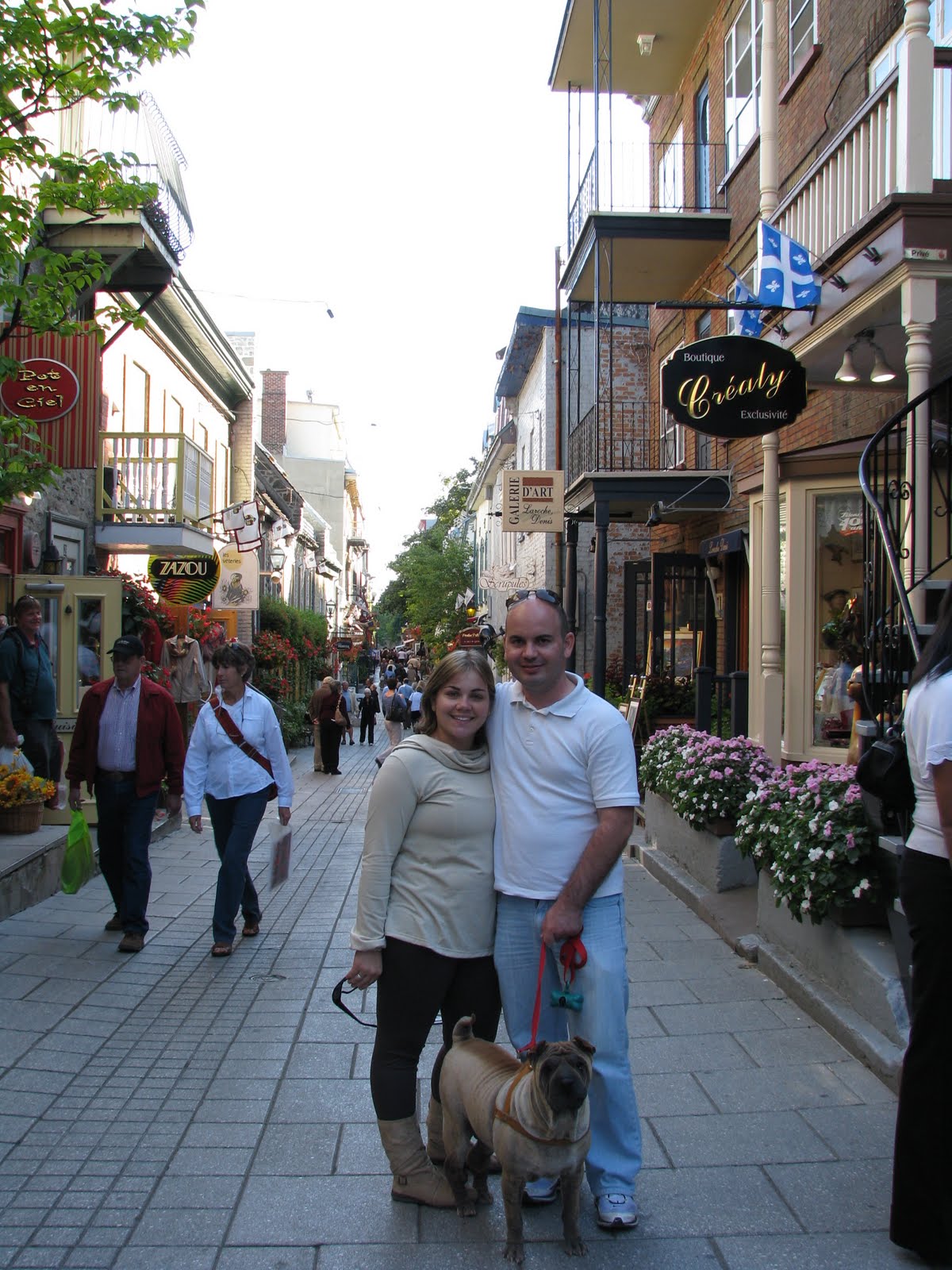 [IMG_7271.JPG]