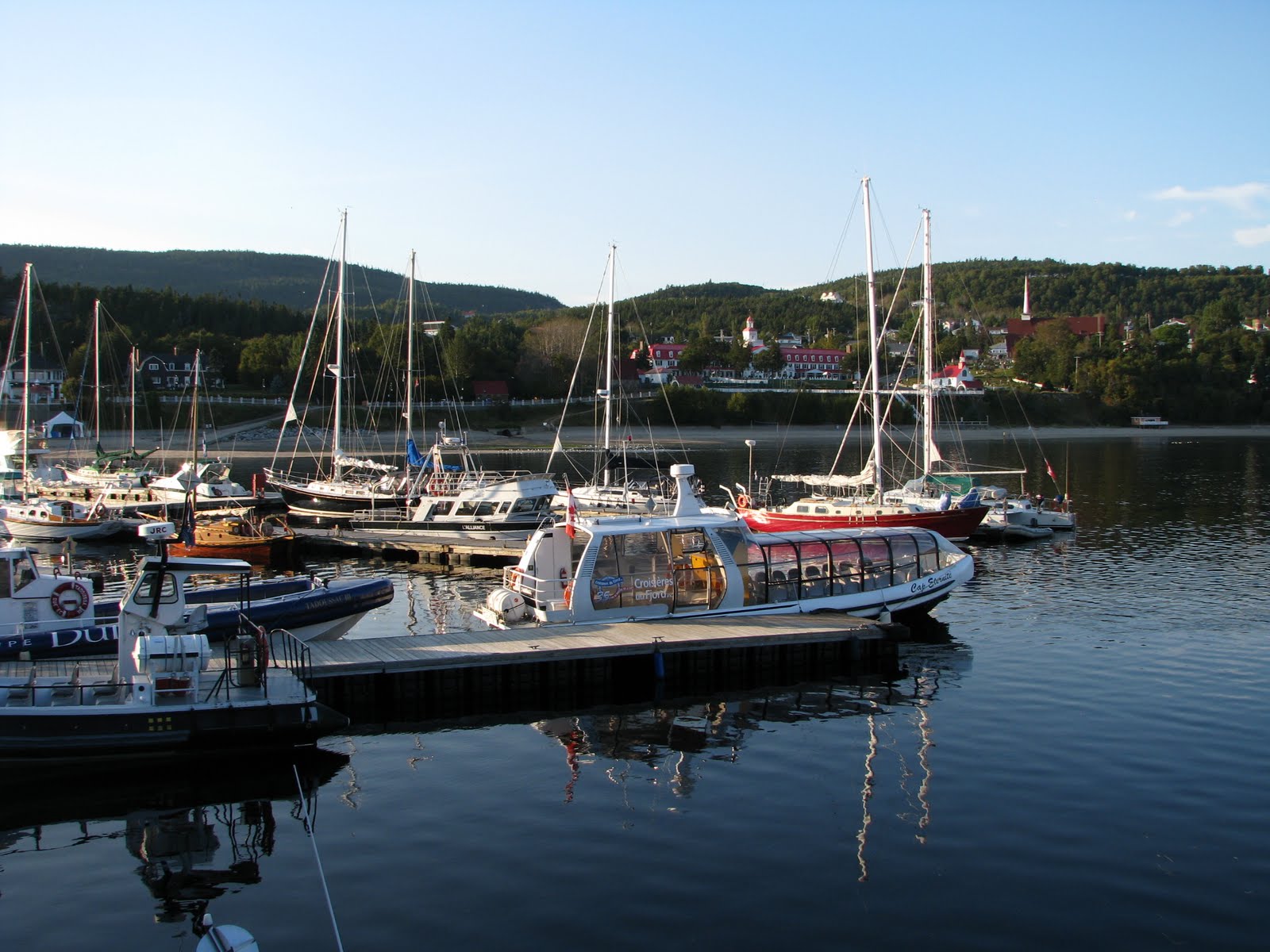 [IMG_8035.JPG]