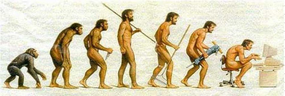 evolucionocreacionlavi...evolucion del hombre