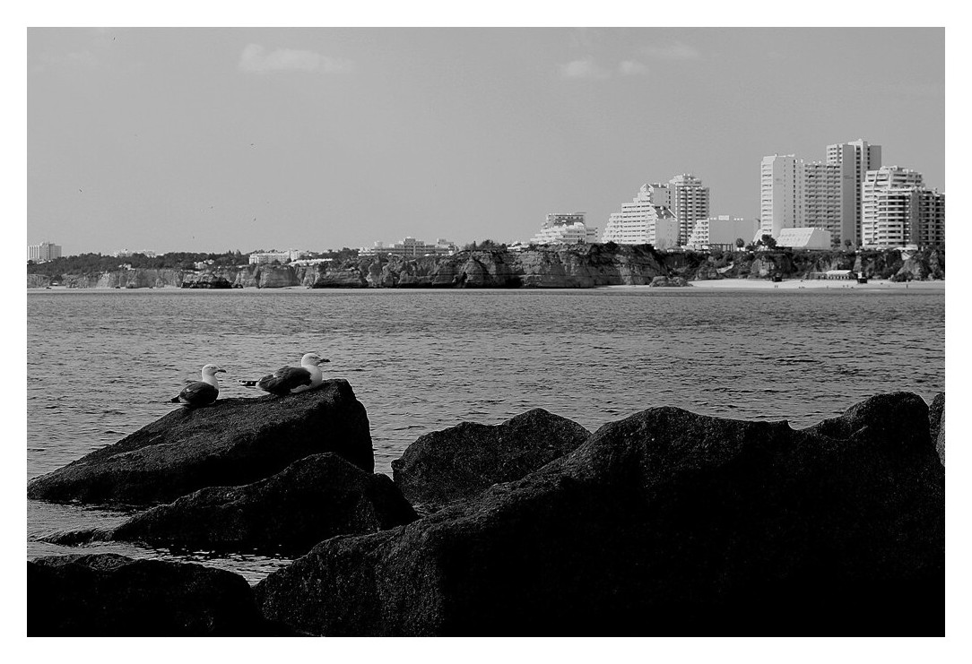 [IMG_6549.JPG]