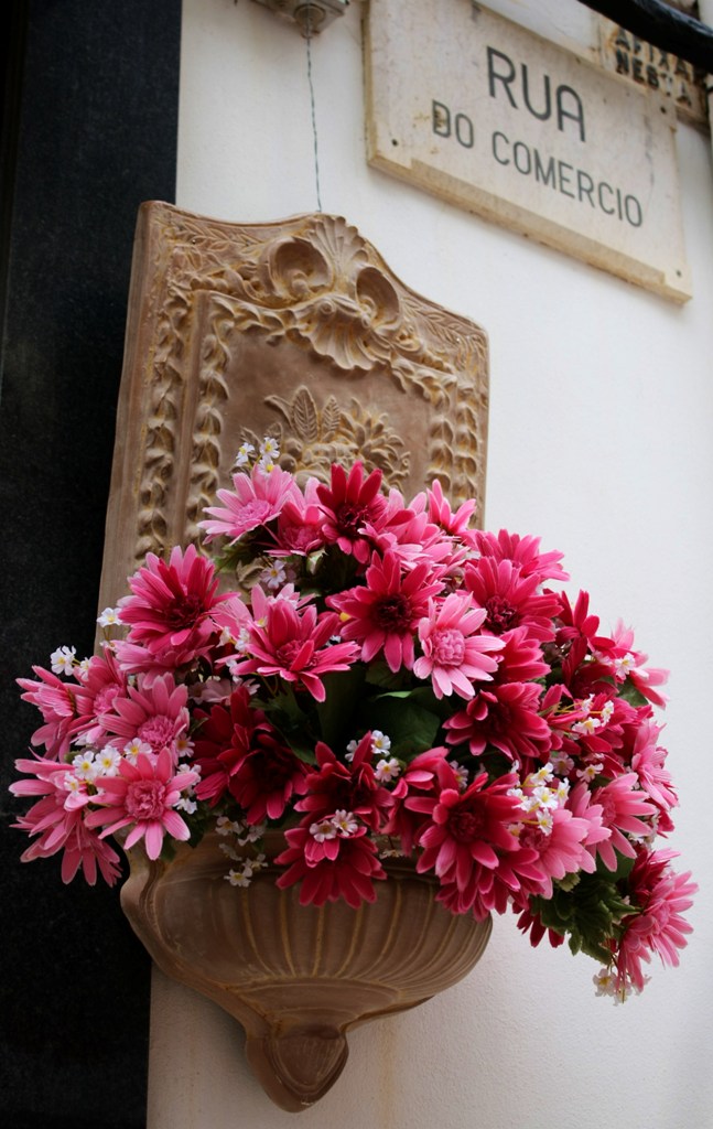 [IMG_6782.JPG]