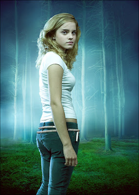 Foto bij chapter sixteen