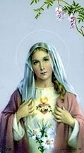 virgem maria virgin mary