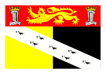 Norfolk Flag