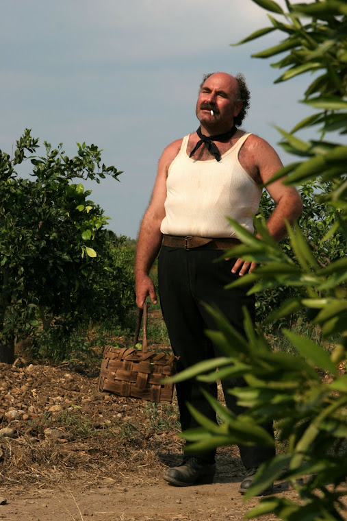 Film : L'UOMO DI VETRO