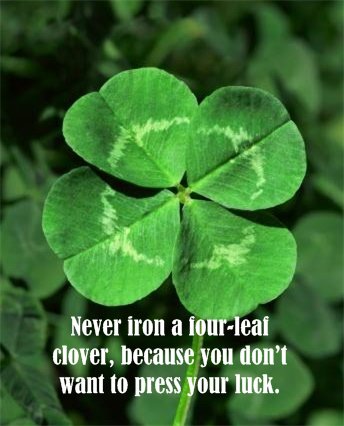 [clover.bmp]
