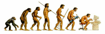 Homo computerus
