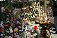 道の駅「三芳村」Flower display