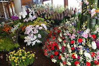 道の駅「三芳村」Flower display