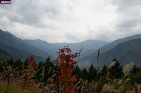 秩父　三峰神社から見た紅葉と渓谷