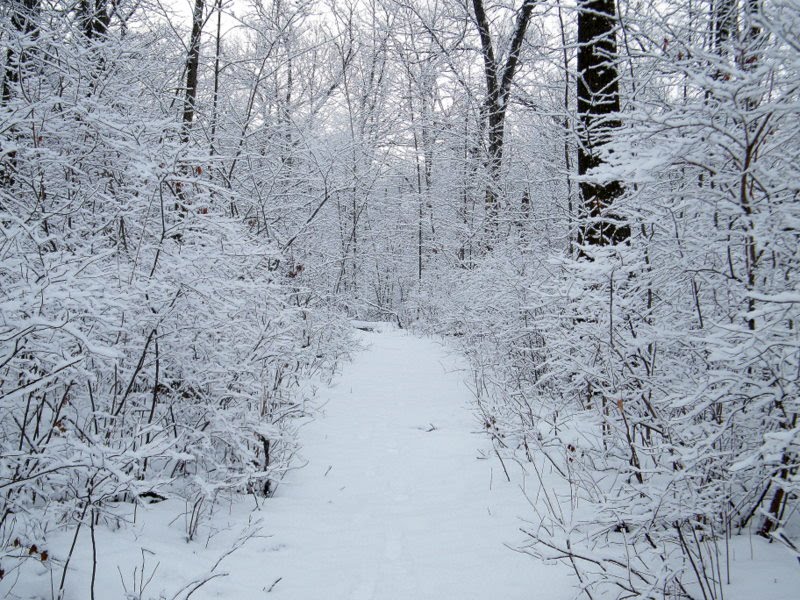 [DSCF9062.JPG]
