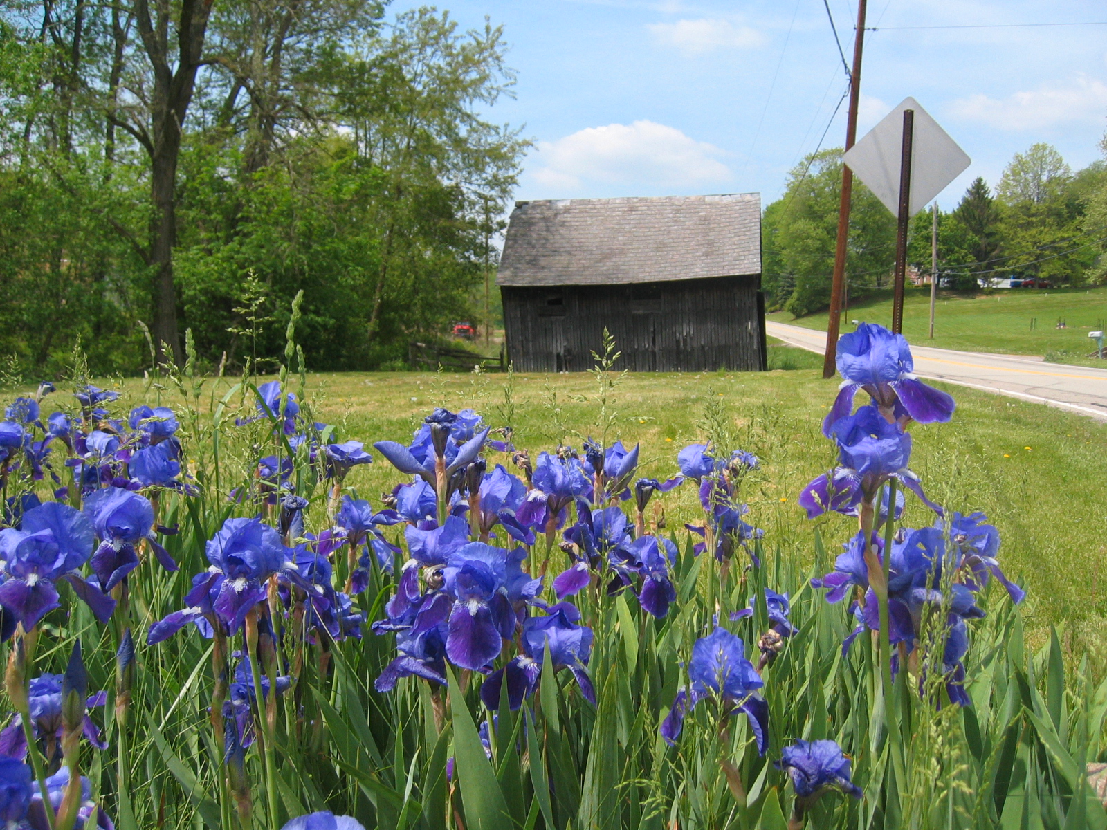 [IMG_8340.JPG]