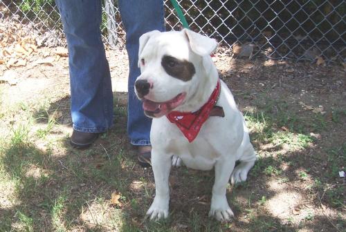 [PIPER+1-746275.jpg]