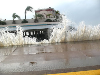 Flagship Hotel: A hotel from