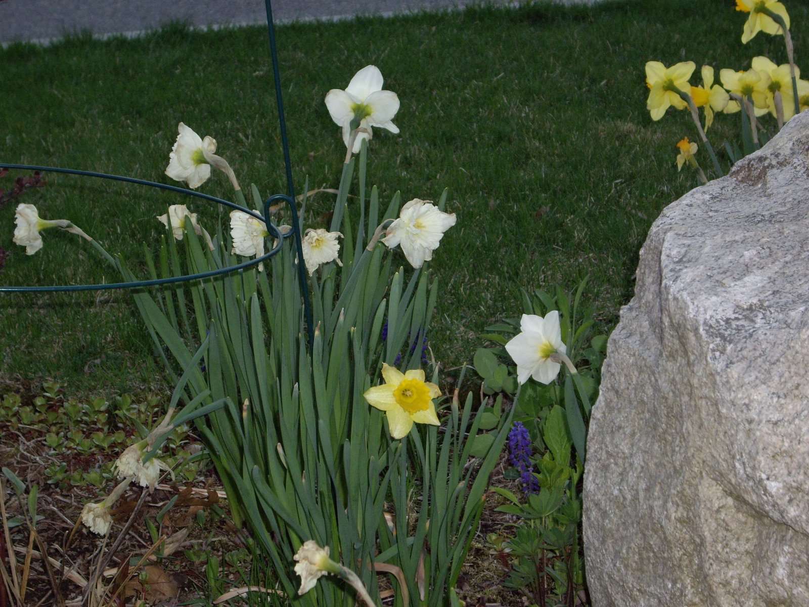 [spring_07_2.JPG]