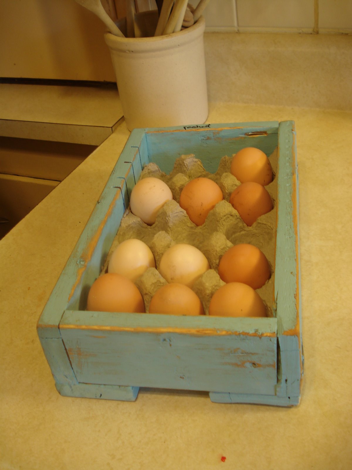 [DSC04209.JPG]