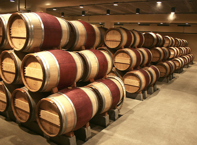 The storeroom of wine