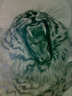 Ferrocious Feline  - Tiger Claw - Lion - Animal Drawing forest jungle mountain pencil sketching moon trees leaves eyes lion cheetah animal jungle llife speed crouching roaring angry look animals