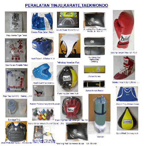 Dayat Si Yoman: Peralatan dalam pertandingan karate image