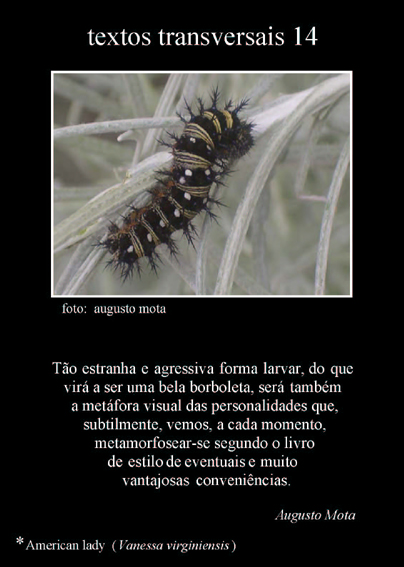 [Textos+transversais+14.jpg]