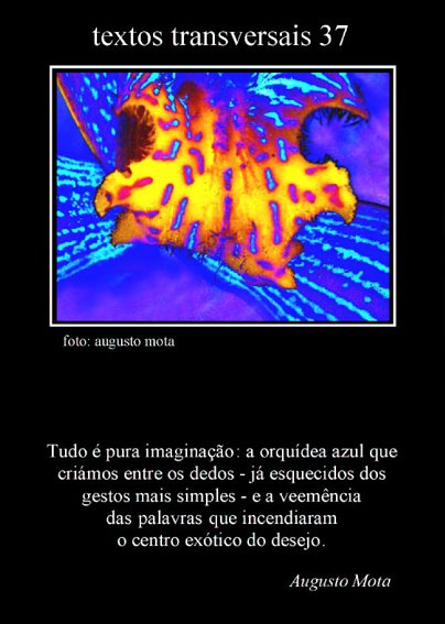 [Textos+transversais+37.jpg]