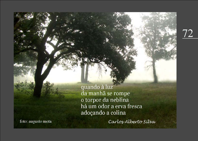 [Fotopoema+72.jpg]