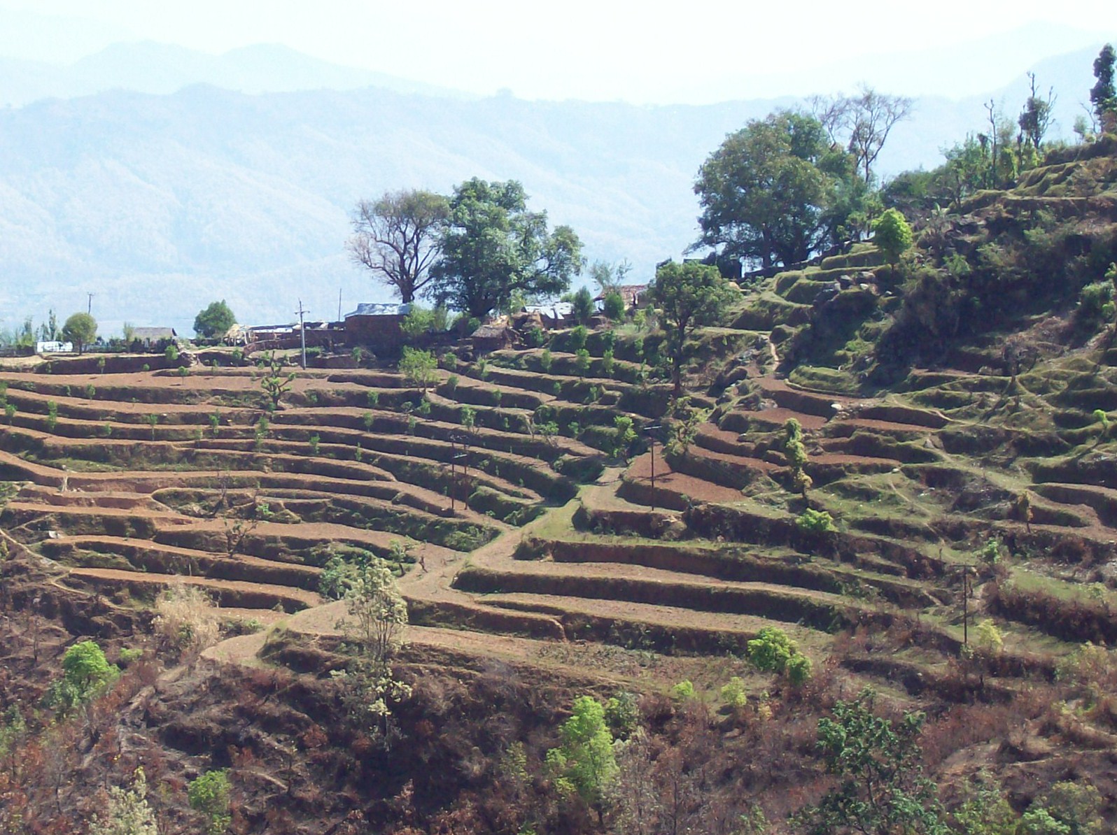 [Terraces.jpg]