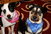 Rascal & Scooter