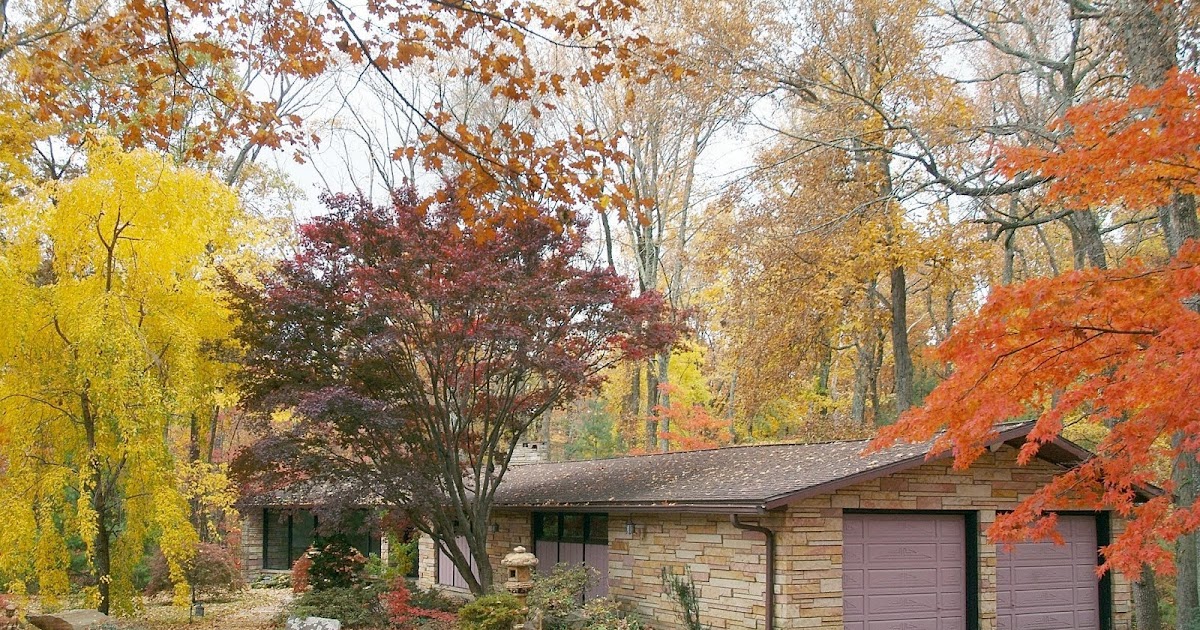 Mid Century Modern Homes for Sale • Real Estate Mid Century Modern