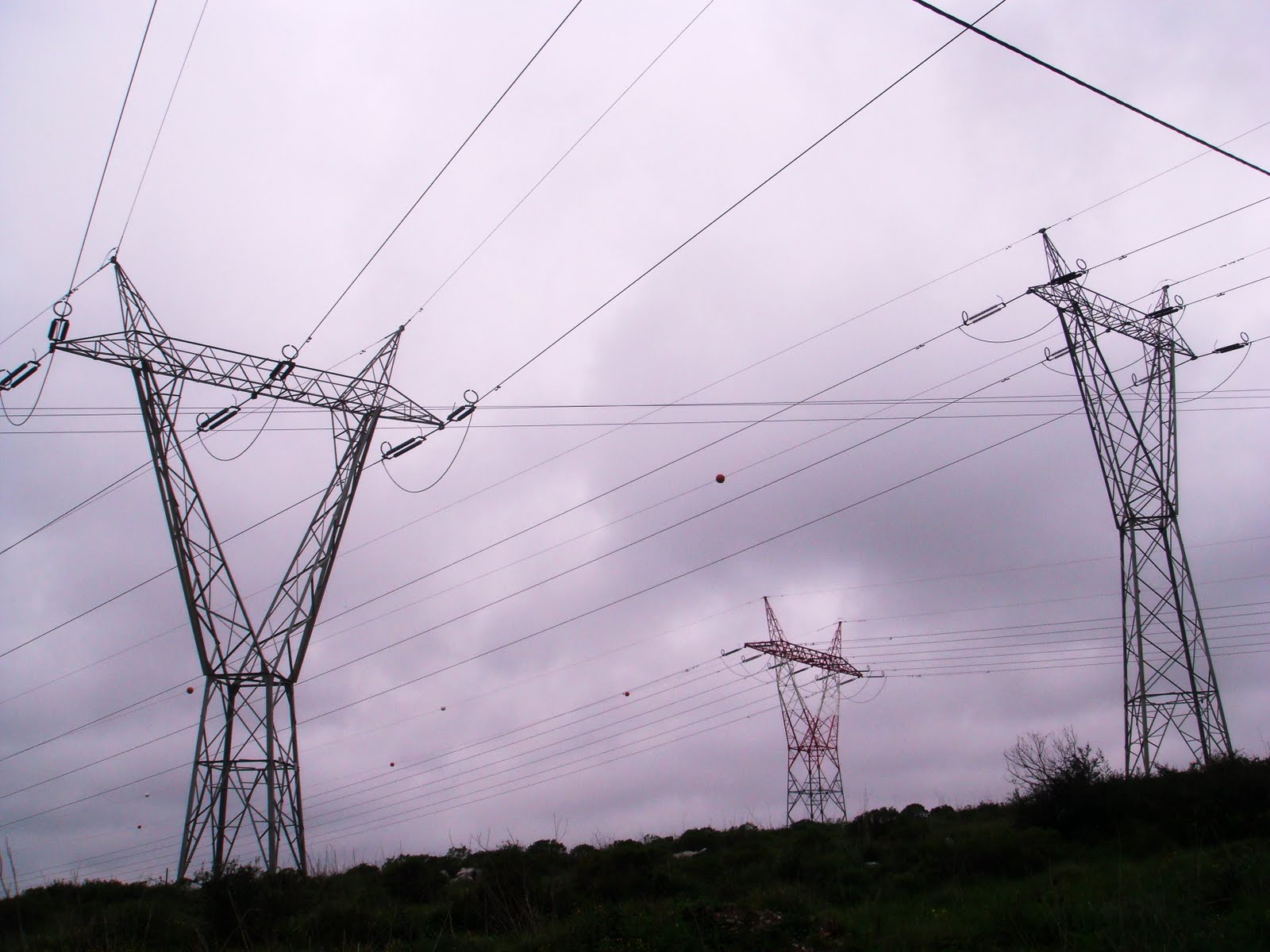 [DSC05959.jpg]