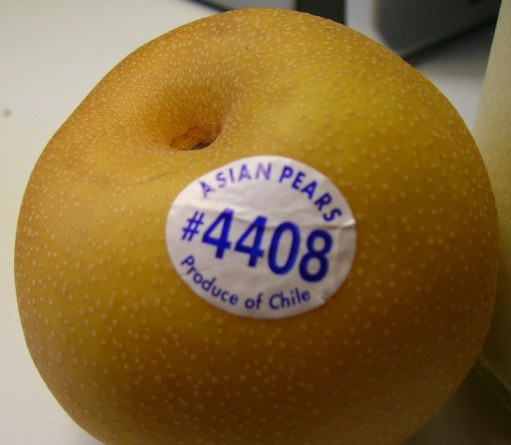 [DSCN0713.JPG]
