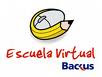 Escuela Virtual de Backus