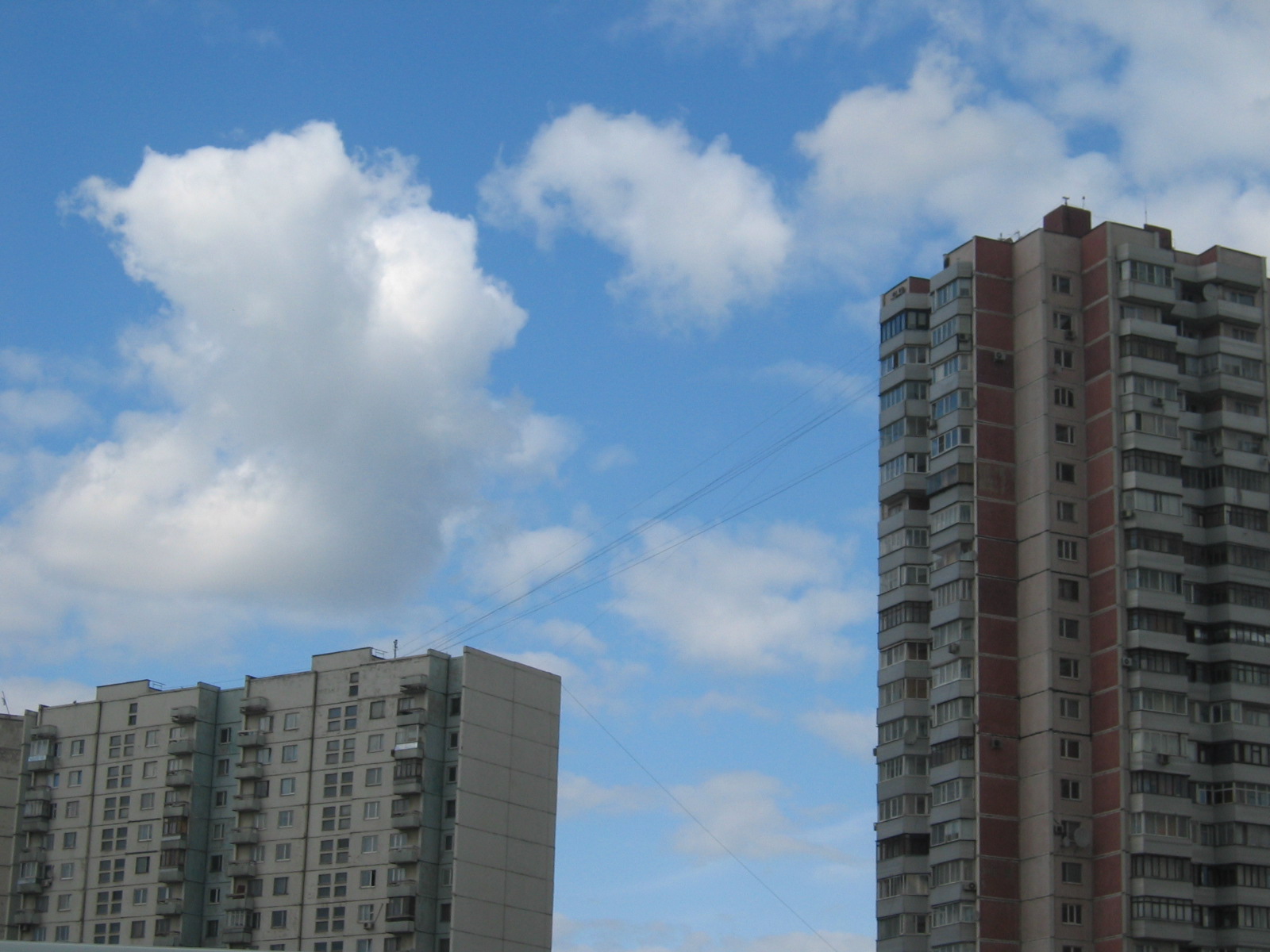 [IMG_0019.JPG]