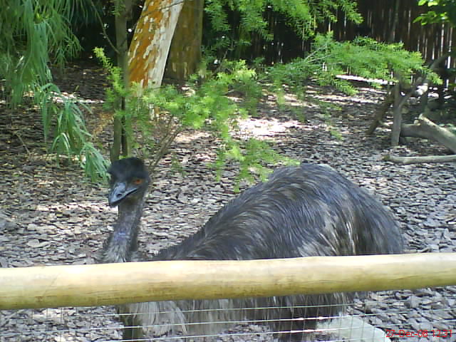 [DSC00346.JPG]