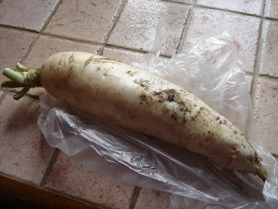 Chinese+white+carrot