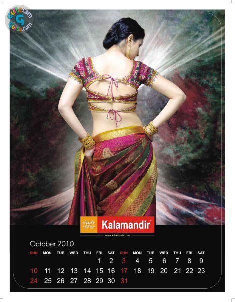 [Kalamandir+Calendar+2010+dazzlingpics.blogspot.com+(15).jpg]