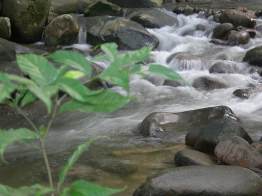 [DSCN0164.JPG]